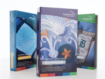 MySewnet /CREATIVATE Grundkursus 2 - Broderidesigner software